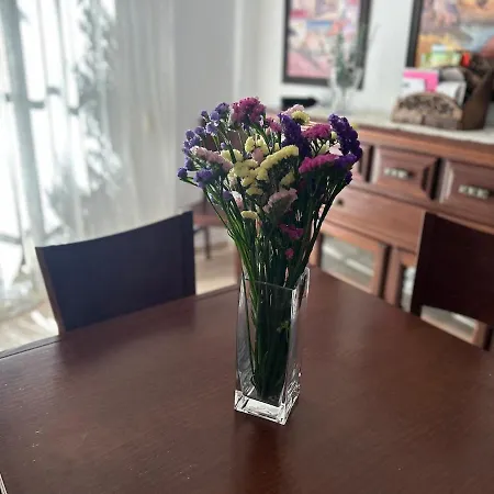 Almadraba House Apartment *